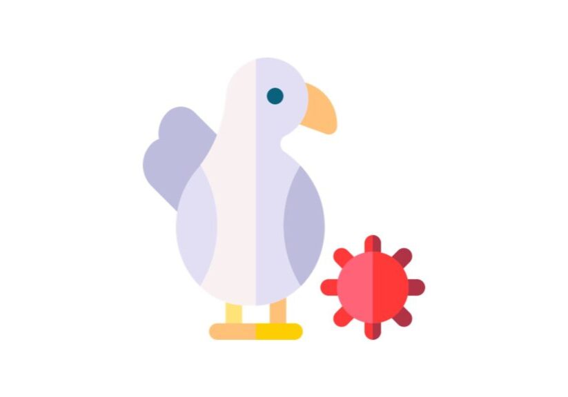 <a href="https://www.flaticon.com/de/kostenlose-icons/vogelgrippe" title="vogelgrippe Icons">Vogelgrippe Icons erstellt von kerismaker - Flaticon</a>